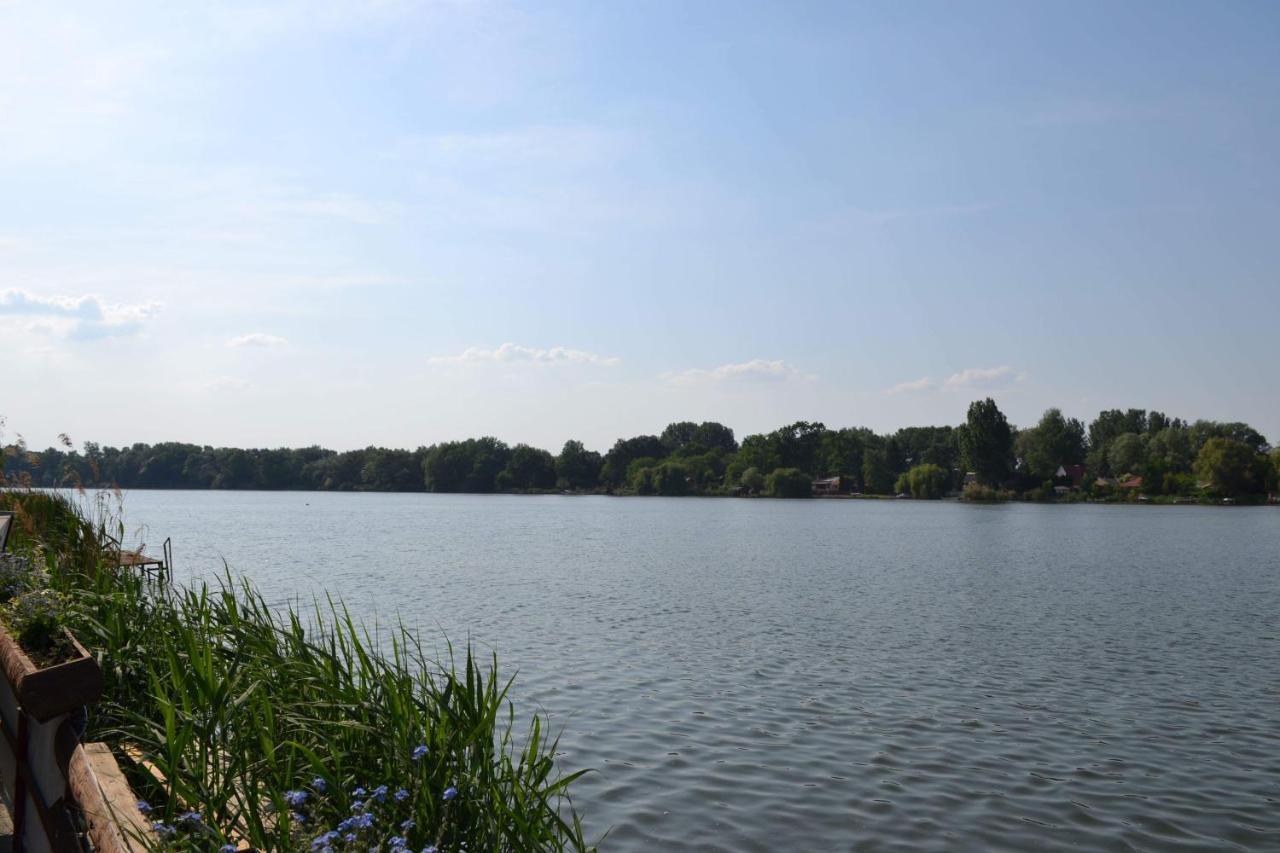 Neptun2 Apartman Domsod Exterior foto